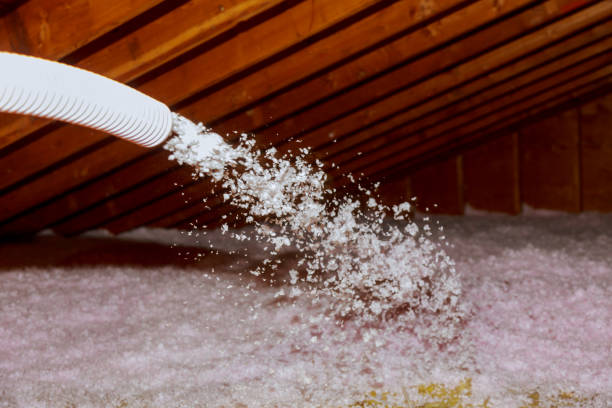Best DIY Insulation Kits and Guidance in Meadow Woods, FL
