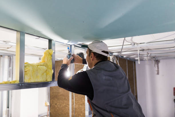Best Spray Foam Insulation in Meadow Woods, FL