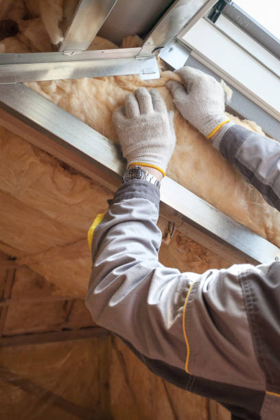 Types of Insulation We Offer in Meadow Woods, FL