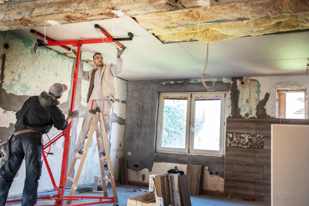 Best Spray Foam Insulation in Meadow Woods, FL