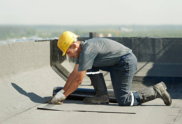 Best Fiberglass Insulation in Meadow Woods, FL