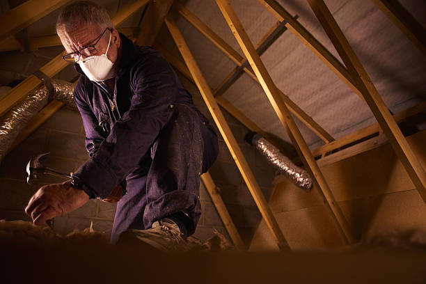 Best Eco-Friendly Insulation in Meadow Woods, FL